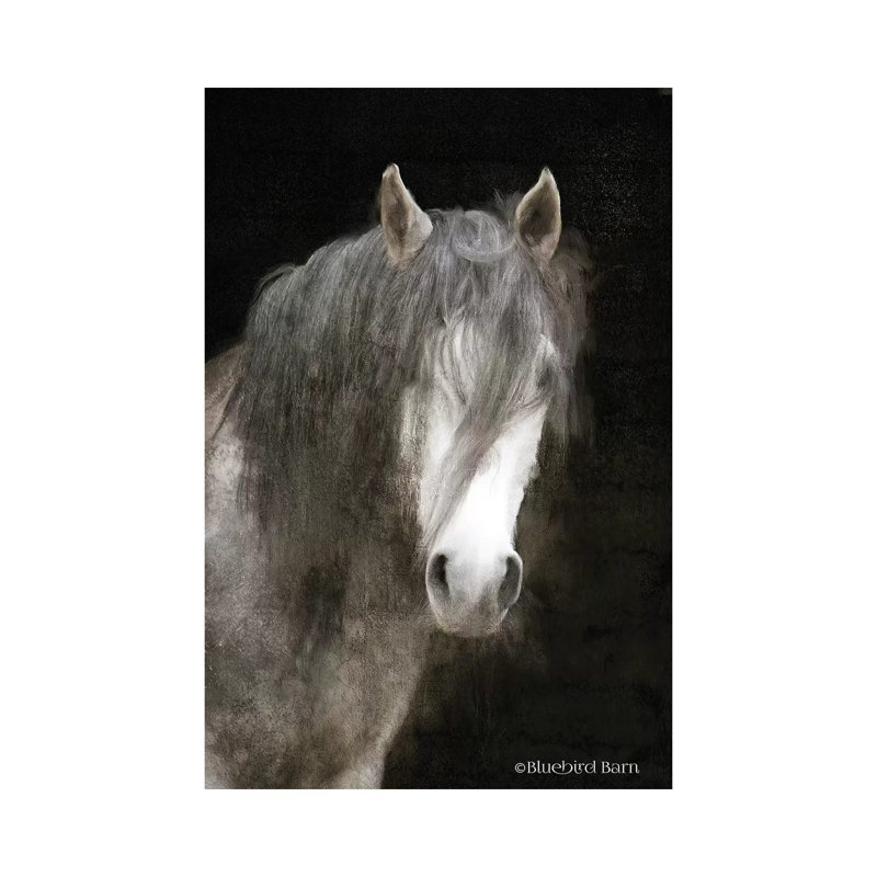 Gypsy Vanner Mystique by Bluebird Barn - Wrapped Canvas Painting, 45.72cm H x 30.48cm W x 1.905cm D