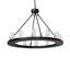 12 - Light Chandelier