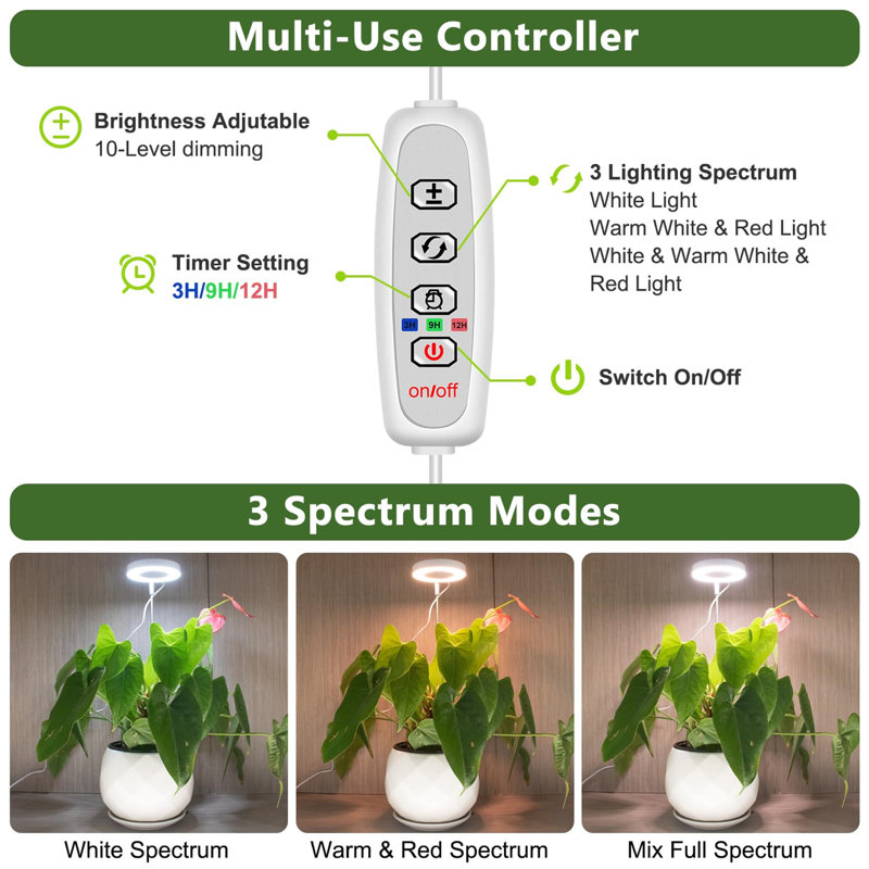 Naomi Grow Light