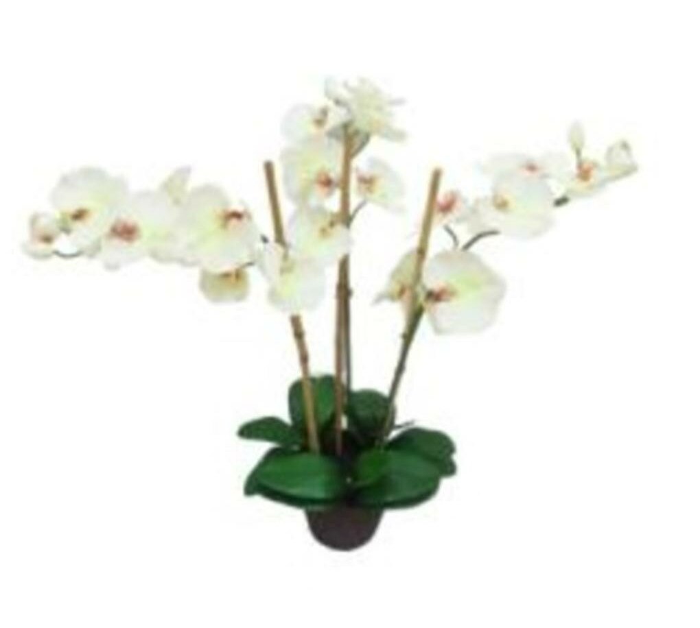 Northlight White and Brown Potted Artificial Phalaenopsis Orchid Flower ...