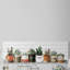 Impression encadrée « indoor succulents »-50107286