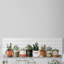 Impression encadrée « indoor succulents »-50107287