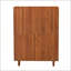 Armoire à chaussures moderne et minimaliste en MDF avec tiroirs multifonctionnels pour les styles nordiques et industriels