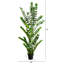 Zamioculcas artificiel-756904527