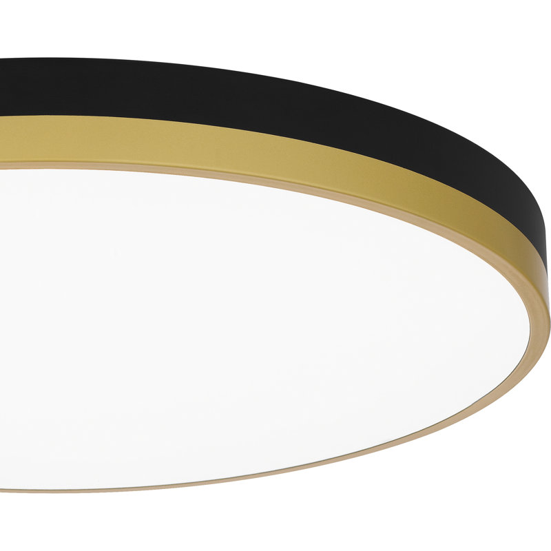 Acrylic LED Flush Mount, Matte Black/Gold