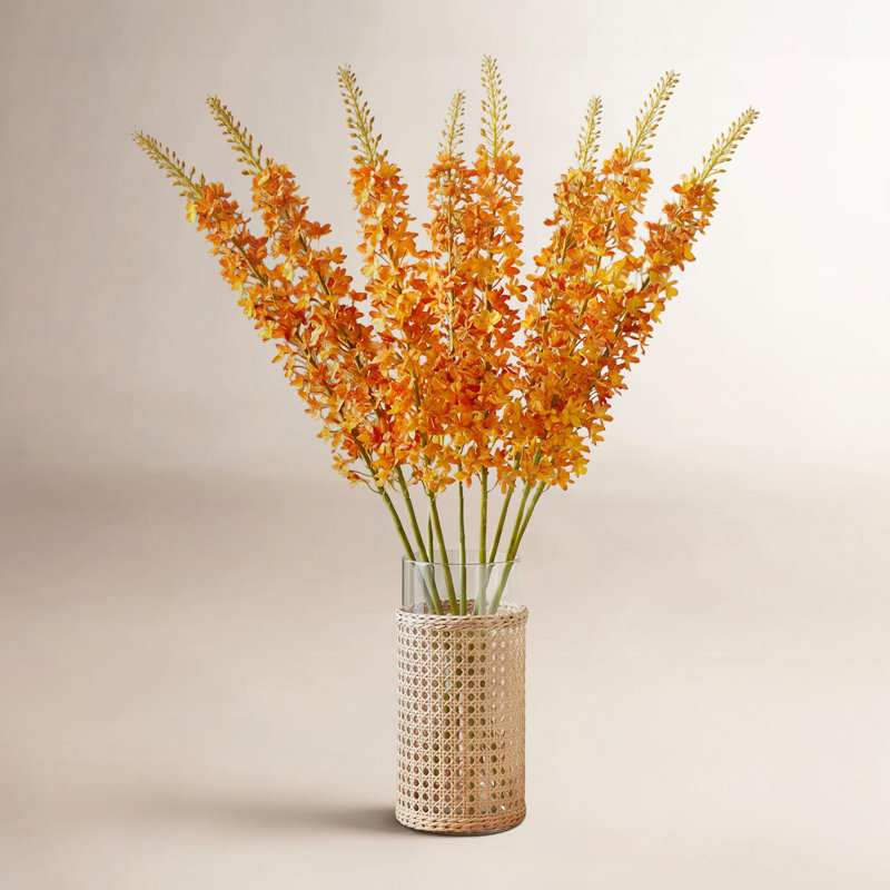 46-Inch Eremurus Stem