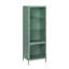 Julina Metal & Glass Display Cabinet with 3-Tier Shelves and Cabinet-179222834