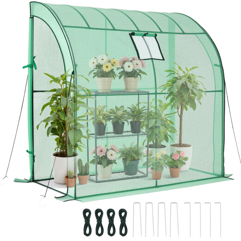 Walk-in Greenhouse, 78" x 39.4" x 78.7" Greenhouse for Outdoors with Window, PE Cover, 3-Tier Shelf, Roll-Up Zipper Doors, Walk in Green House Kit, Portable Plant Garden Hot House for Backyard