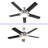 Lafay 52'' Ceiling Fan with LED Lights