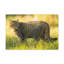 Art mural majestueux, impression de chat sauvage-794846269