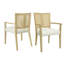 DINING CHAIR (Light Ash+Beige) Set Of 2-1958377367-1958377365