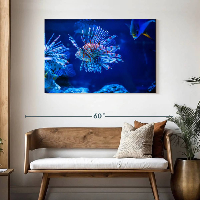 Poisson-lion aquarium Brampt, H 30 po x l 45 po