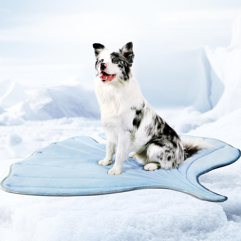 Tapis pour animaux de compagnie Vagascape