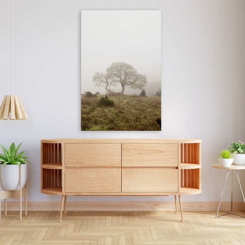 Oak Tree #26 - Photography Art, 48" H x 32" W