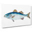 Bass Fish by Edward Donovan - Wrapped Canvas Painting Pint-55363547