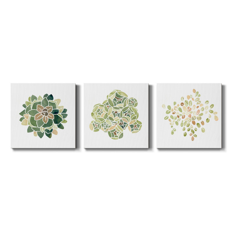 «Succulent Cameo VI», ensemble de 3 toiles tendues, H 40 po x l 80 po x P 1 po