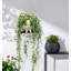 Jardinières suspendues pour plantes d'intérieur Swinging