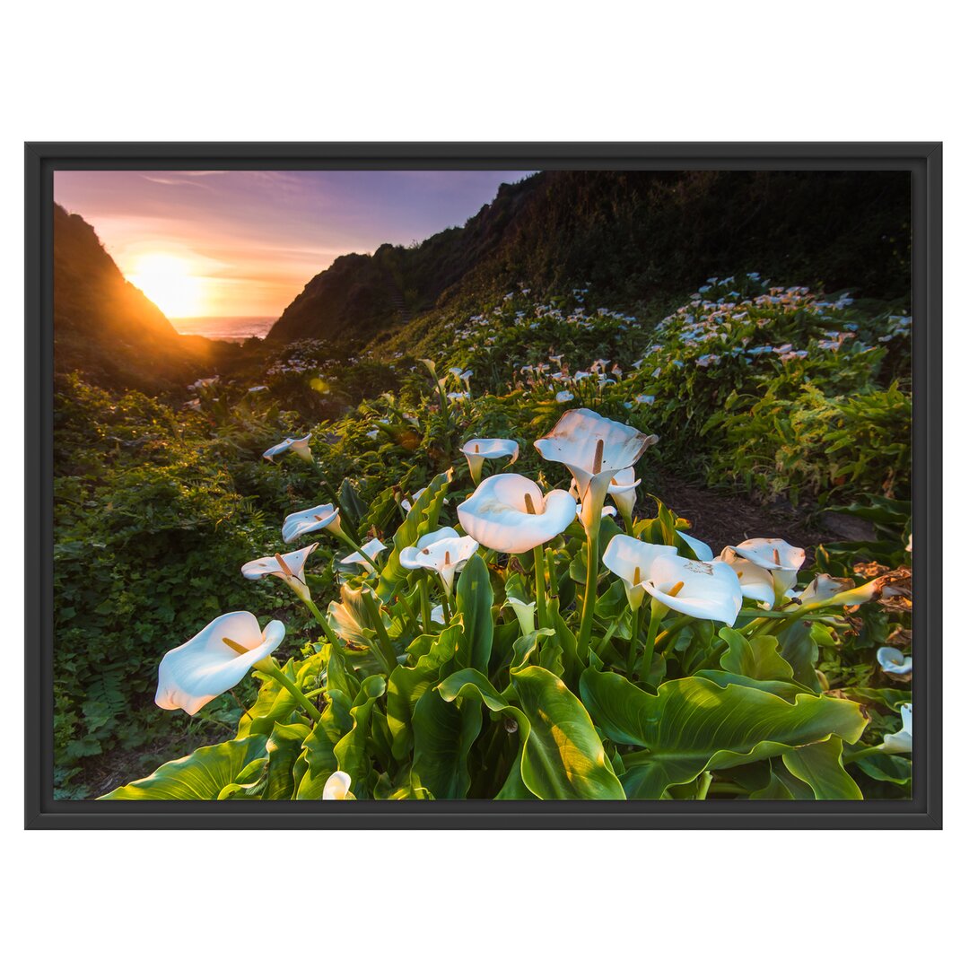 Gerahmtes Wandbild Blumenwiese in den Bergen