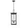 Osakis 4 Light 11" Wide Outdoor Pendant
