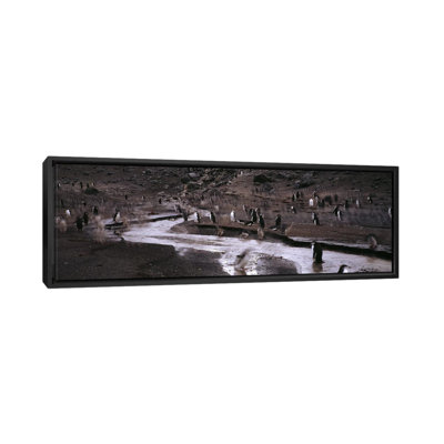 Panoramic Photograph on Canvas