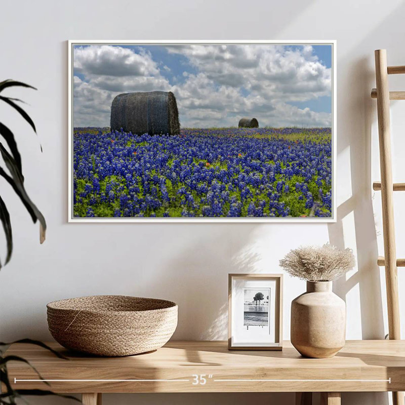 Texas Bluebonnets, Cadre flottant blanc, 25 po x 17 po