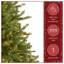 Sapin de Noël pré-éclairé-727777758