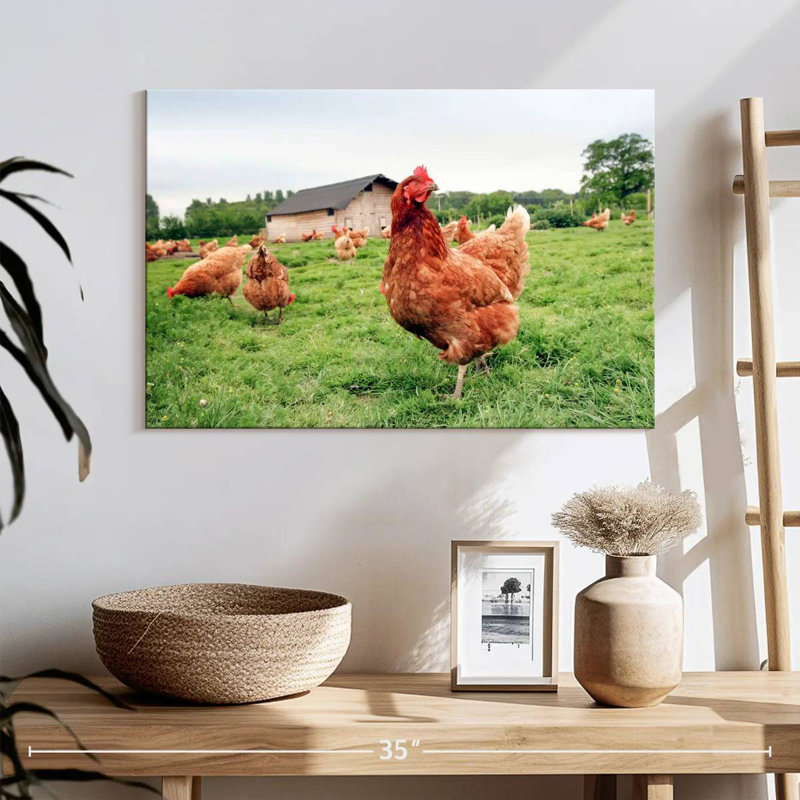 Poulet à la ferme, H 16 po x l 24 po