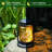 10 " Solar Powered Integrated LED Outdoor Lantern
