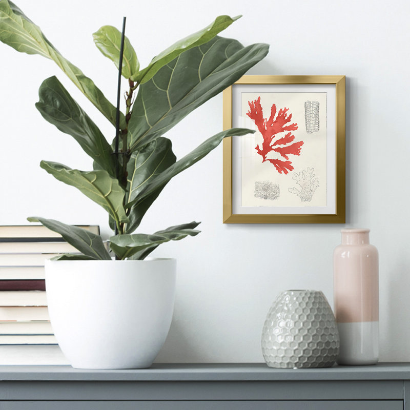 Kerkhoven -Gallery Wrapped Canvas