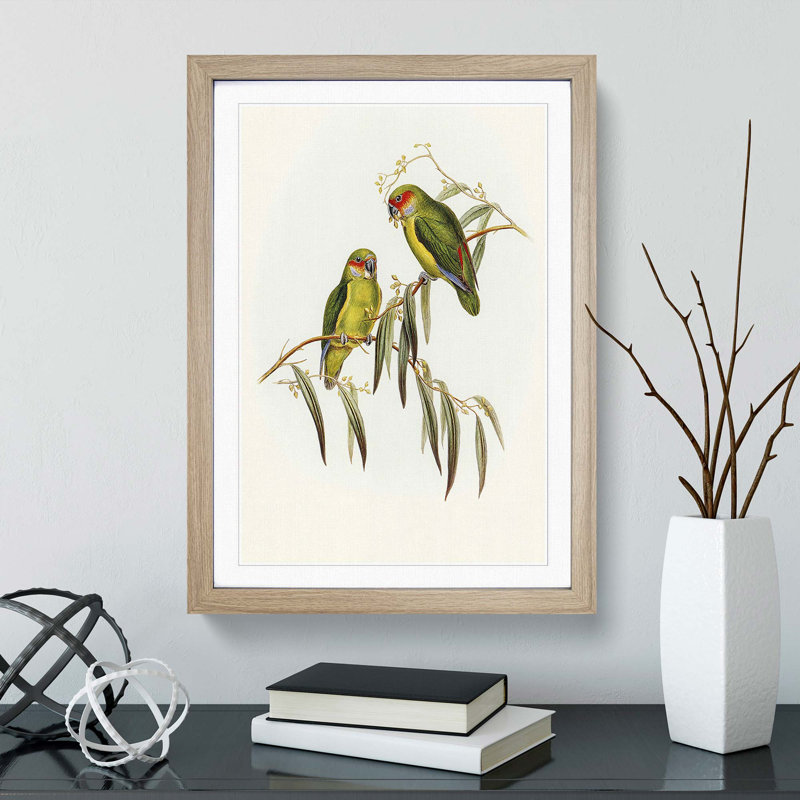 Coxen's Parakeets by Elizabeth Gould - Picture Frame Painting Print, Oak Framed, 36cm H x 27cm W x 2cm D