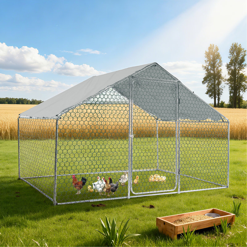 Poulailler extérieur en métal grand espace, H 78,74 po x l 118,11 po x P 78,74 po