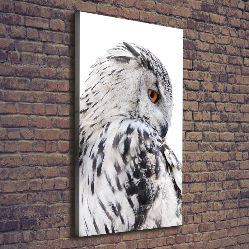 White Owl - Wrapped Canvas Print