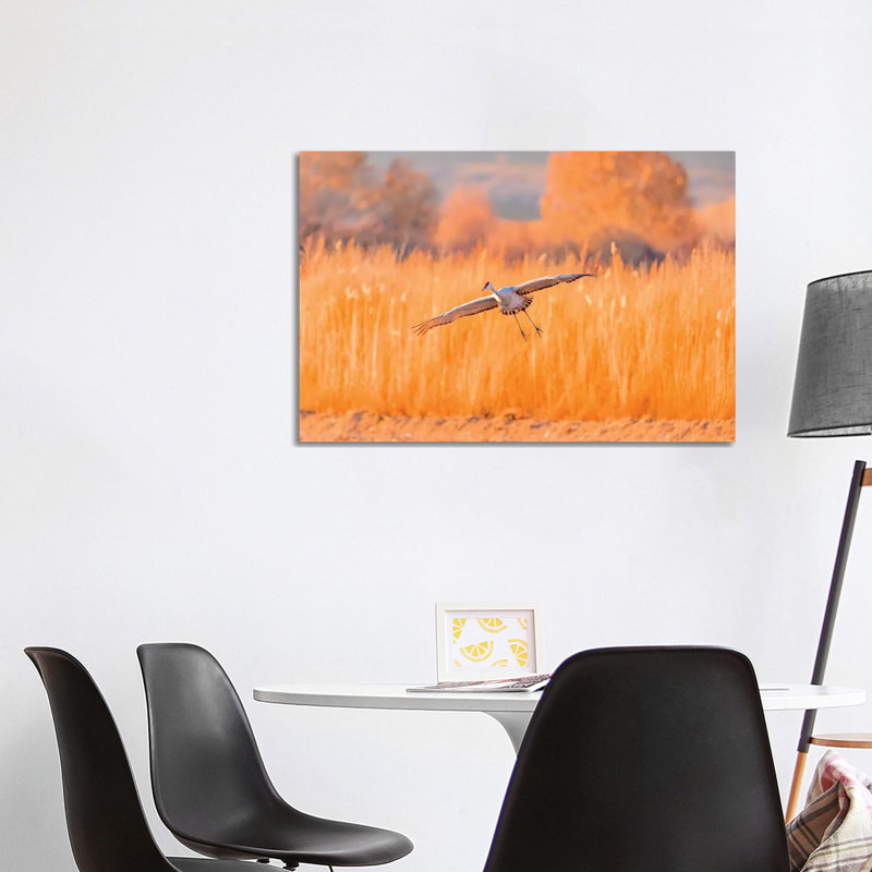 USA, New Mexico, Bosque Del Apache Wildlife Refuge. Sandhill Crane Landing. by Jaynes Gallery - Wrapped Canvas Print