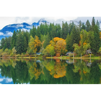" Quinault Lake Rainforest "