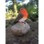 Harbour Animals UV Resistant Plastic Garden Statue