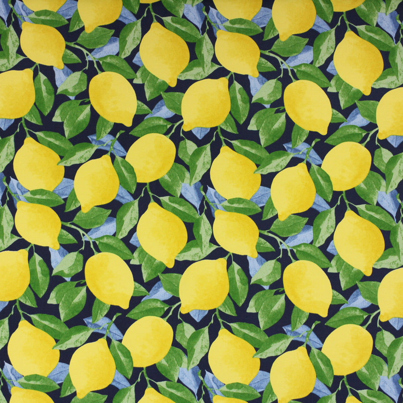 Outdoor Loveseat Pillow and Cushion Set, Richloom - Citrus Sapphire, 23.5 in W x 23 in D x 5 in H