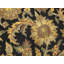 Tapis oriental noir 4 x 6 Agra Jaipur