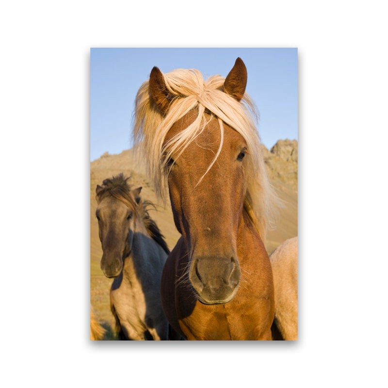 Blondie by Karsten Wrobel - Print on Canvas, Unframed, 42cm H x 30cm W x 1cm D