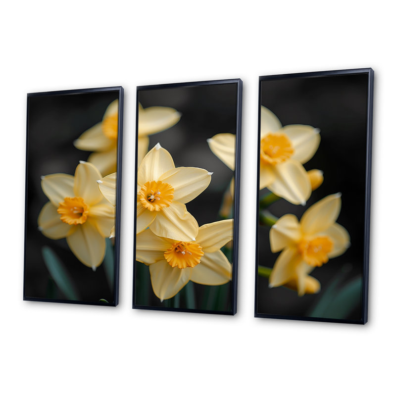 - Ensemble de reproductions d'art mural jonquilles, H 28 po x l 36 po x P 1 po, Toile avec cadre flottant noir