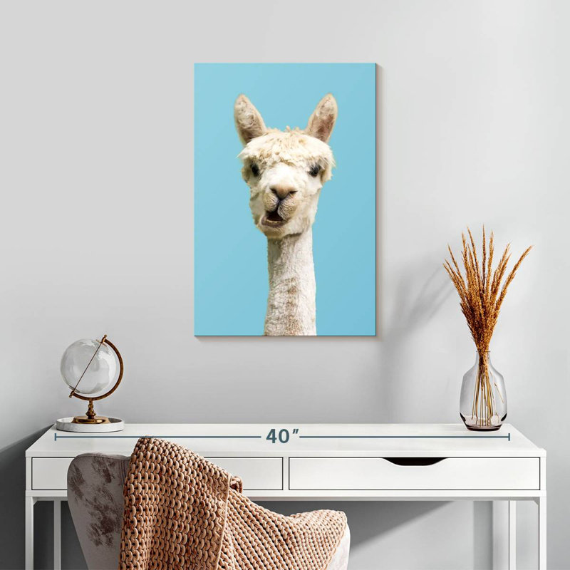 Brampt White Funny Alpaca, 24" H x 16" W