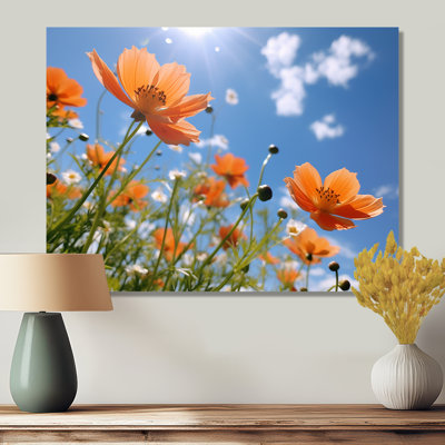 Orange, coquelicots, bleu, été, ciel, coquelicot, art mural, salon