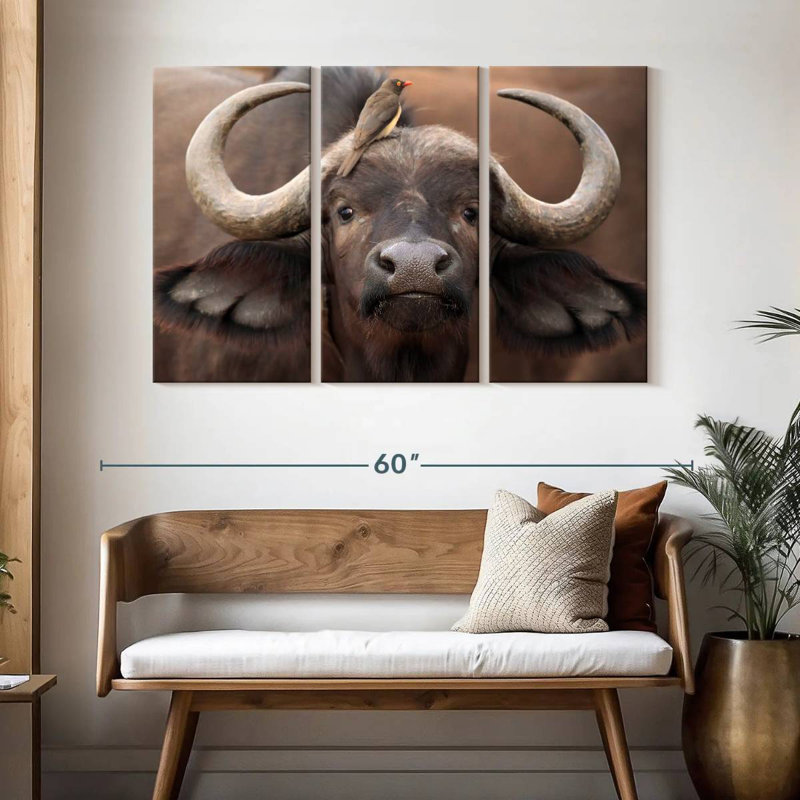 Buffalo And Oxpecker