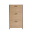 18 Pair Shoe Storage Cabinet