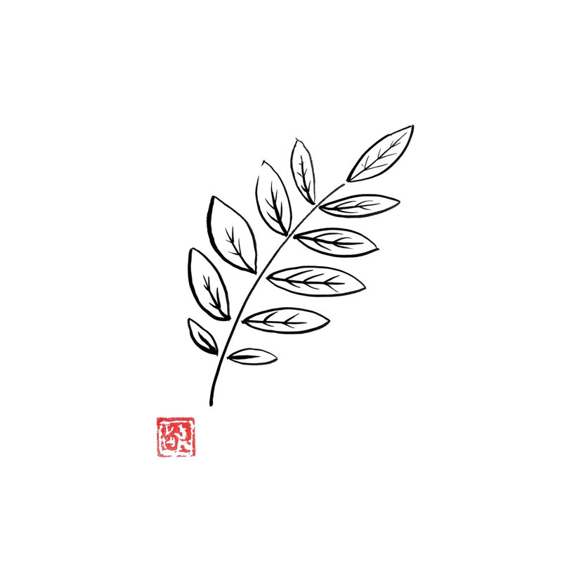 Laurel by Péchane - Print on Canvas, 20.32 cm H x 30.48 cm W, Wrapped Canvas