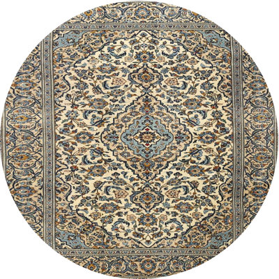 Chlorine Oriental Indoor Rug