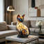 Une lampe pour animaux teintés qui rend toute pièce magique-137458535