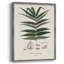 Botanical Society, impression encadrée de fougères - bois massif-199143711