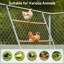 Barres de perchoir pour poulets, jeu de jeu avec perchoirs, échelle de poulet en bois, jouets pour poulets pour accessoires de poulailler