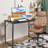 Metal Base Computer Desk-379149676
