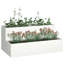Planter Box-243940818